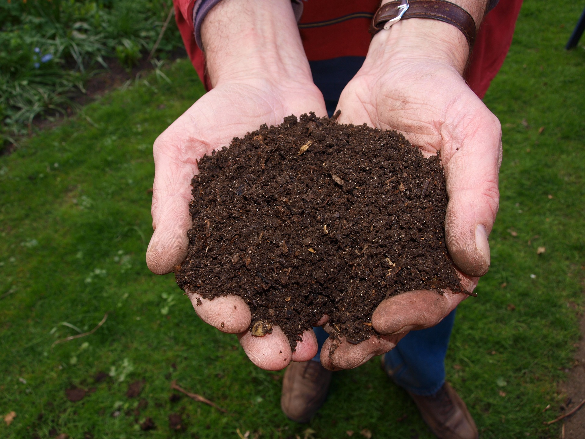 Jak zrobić kompost – oto najprostszy sposób, z którym poradzi sobie każdy